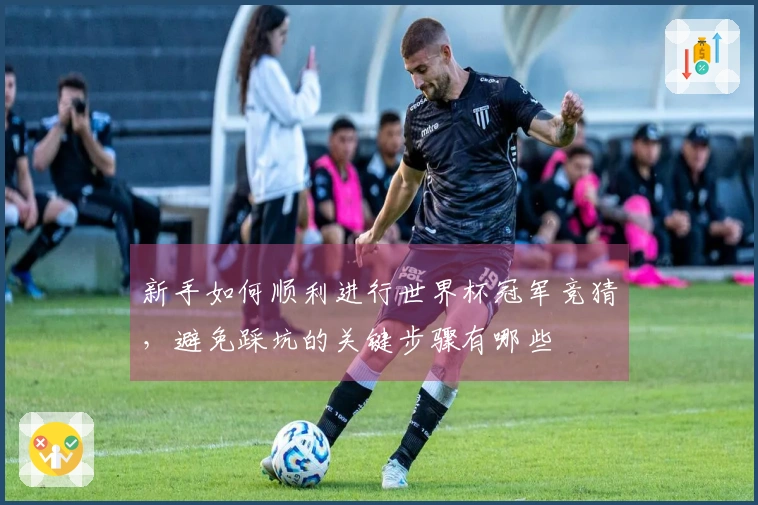 新手如何顺利进行世界杯冠军竞猜，避免踩坑的关键步骤有哪些