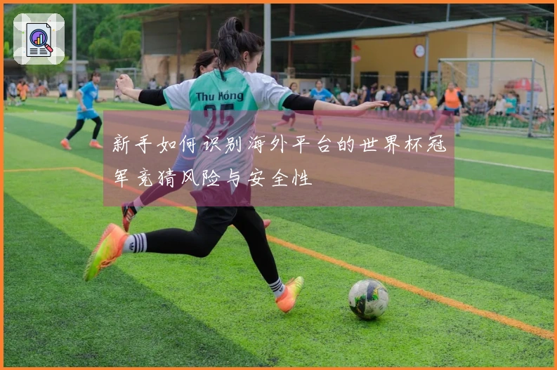 新手如何识别海外平台的世界杯冠军竞猜风险与安全性