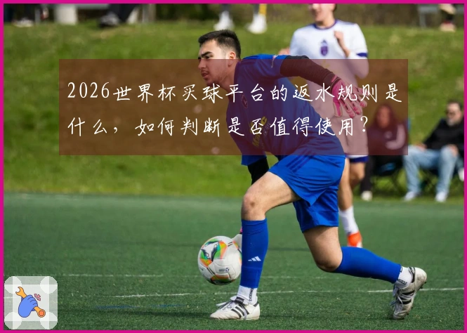 2026世界杯买球平台的返水规则是什么，如何判断是否值得使用？