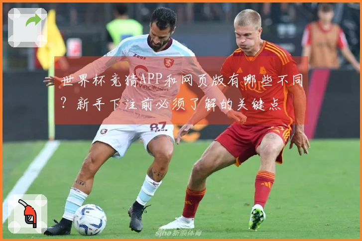 pg游戏体育资讯图片